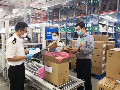 同心共稽 追求卓越——南京海关企业管理和稽查处党支部党建品牌创建纪实